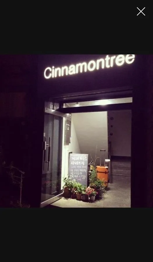 Cinnamon Tree Guest House Busan
